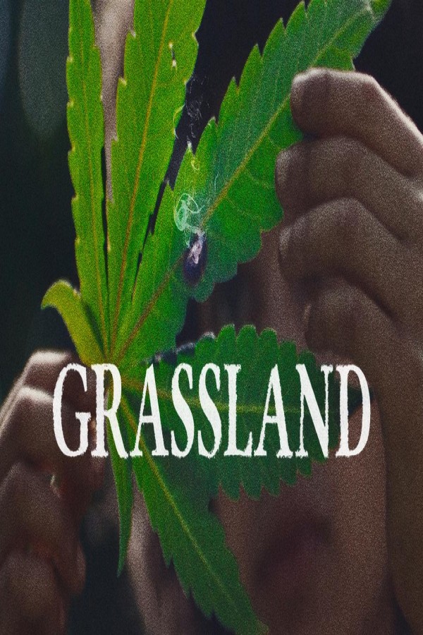 فيلم Grassland 2024 مترجم